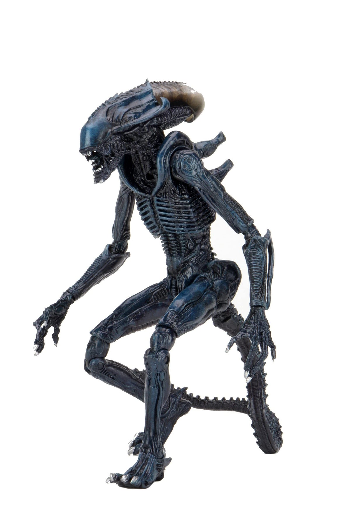 NECA Alien vs Predator - Figura de acción alienígena aracnoidea, escala de 7 pulgadas